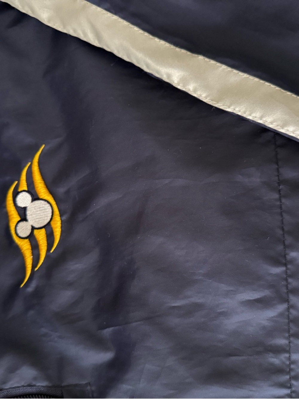 Disney Dream Cruise Line Lightweight Jacket Embroidered - Picture 2 of 3